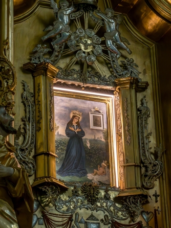 Zamość, Kasnobród-146