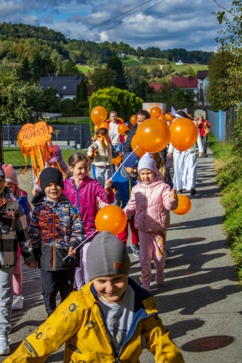 Marsz - Stop Przemocy (34)