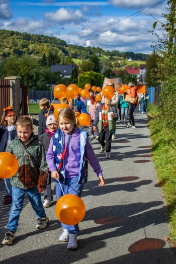 Marsz - Stop Przemocy (35)