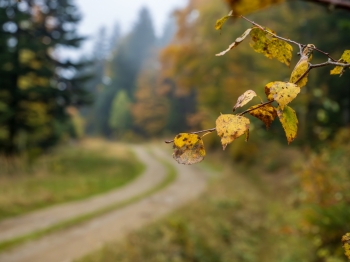 Beskid Niski na rowerze-6